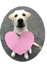 �Ŕ��̃j�R�����i�c�ƕ����j