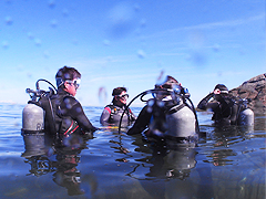 �L�x�ȃR�[�X�I��