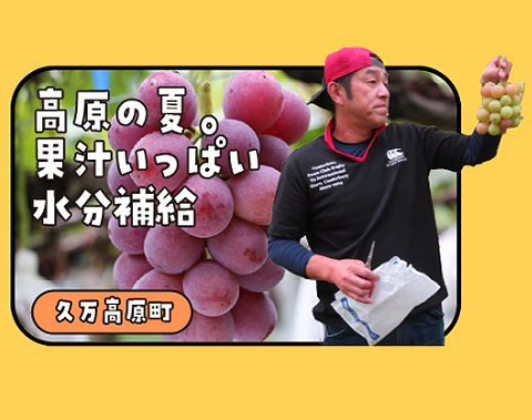 F菑ؖ