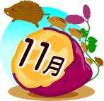 11