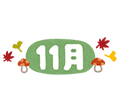 11��